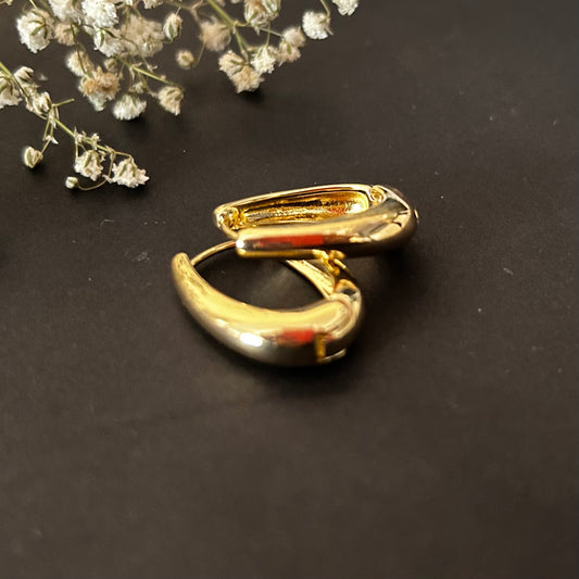 Stainless Steel Hoops, Everyday Gold Earrings, Gold Hoop Earrings for women